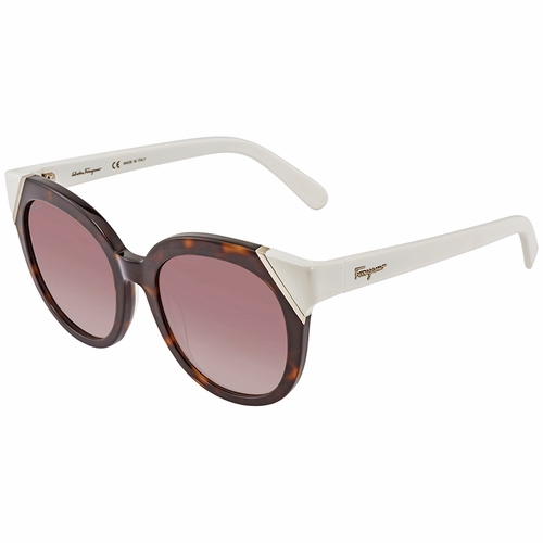 Salvatore Ferragamo SF836S21553  Ladies  Sunglasses