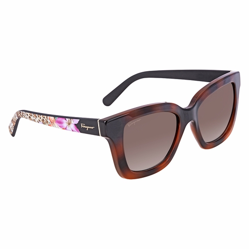 Salvatore Ferragamo SF858S 214 53    Sunglasses