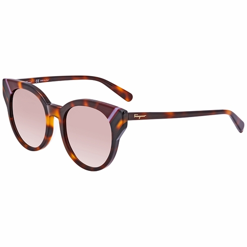 Salvatore Ferragamo SF883SA 238 53 SF883SA   Sunglasses