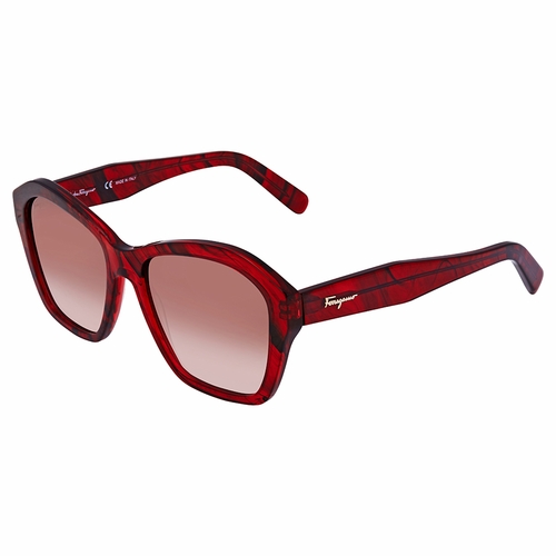 Salvatore Ferragamo SF894S 645 55 SF894S   Sunglasses