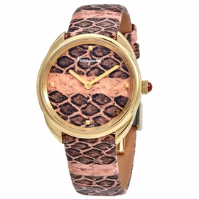 Ferragamo SFNE00219 Cuir Ladies Quartz Watch