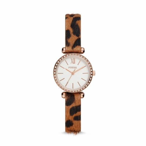 Fossil BQ3556 Tillie Mini Ladies Quartz Watch