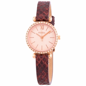 Fossil BQ3557 Tillie Mini Ladies Quartz Watch