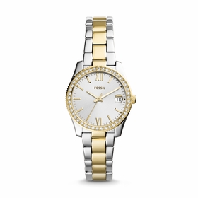 Fossil ES4319 Scarlette Mini Ladies Quartz Watch