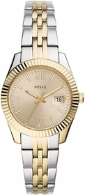 Fossil ES4949 Scarlette Mini Ladies Quartz Watch
