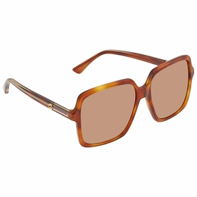 Gucci GG0375S 004 56 Sunglasses Gucci GG0375S 004 56 Sunglasses