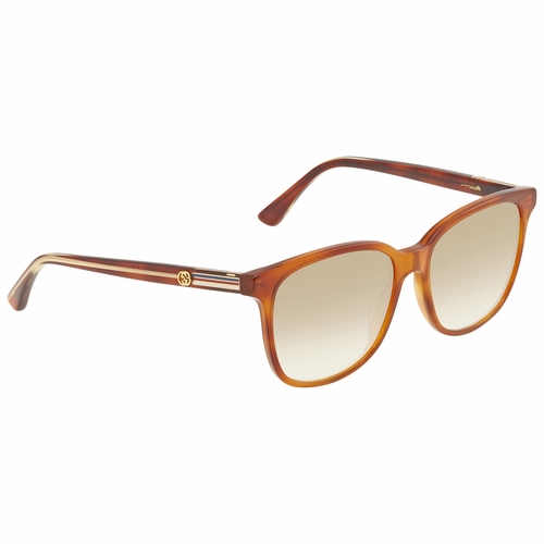 Gucci GG0376S 004 54    Sunglasses