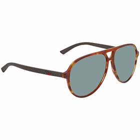 Gucci GG0423S 011 60 Sunglasses Gucci GG0423S 011 60 Sunglasses