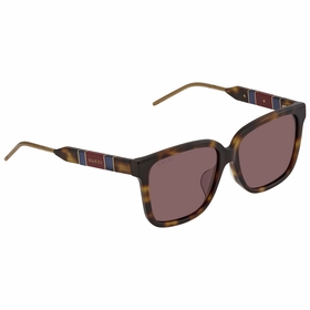 Gucci GG0599SA00356 Ladies Sunglasses Gucci GG0599SA00356 Ladies Sunglasses