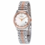 Gucci YA126514 G-Timeless Ladies Quartz Watch