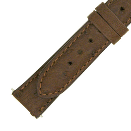 Hadley Roma 16 MM Matte Brown Ostrich Leather Strap