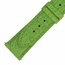Hadley Roma 18 MM Matte Lime Green Alligator Leather Strap