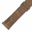 Hadley Roma 20 MM Shiny Natural Alligator Leather Strap
