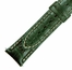 Hadley Roma 21 MM Green Alligator Leather Strap