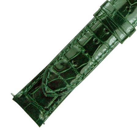 Hadley Roma  Shiny Forest Green Alligator Leather Strap