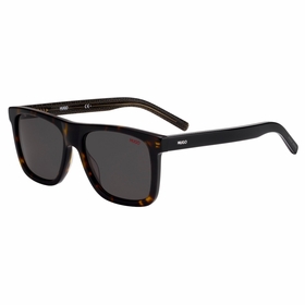 Hugo Boss HG 1009/S 086/IR 54  Mens  Sunglasses
