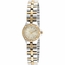 Invicta 17064 Angel Ladies Quartz Watch