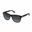 Jimmy Choo REBBY/S 0VSB 55  Ladies  Sunglasses