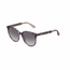 Jimmy Choo REECE/F/S LX9 56  Ladies  Sunglasses