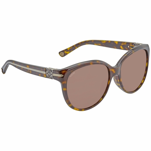 Loewe SLW899G SLW899G Ladies  Sunglasses