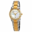 Mathey-Tissot D2111BI2 Elisa Ladies Quartz Watch