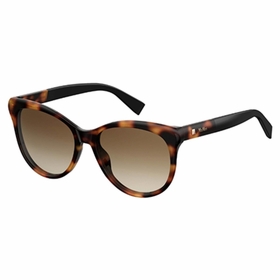 Max Mara Mm Cosy 0086 00 56  Ladies  Sunglasses