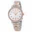 Michael Kors MK3880 Sofie Ladies Quartz Watch