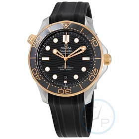 Omega 210.22.42.20.01.001 Seamaster Mens Automatic Watch