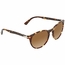 Persol PO3152S 904051 52    Sunglasses