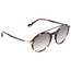 Persol PO3172S 105732 51  Ladies  Sunglasses