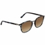 Persol PO3186S 106251 53  Mens  Sunglasses