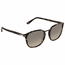 Persol PO3186S 106332 53  Mens  Sunglasses