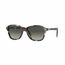 Persol PO3244S 112471 53  Ladies  Sunglasses