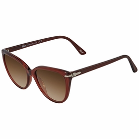 Persol PO3251S 110451 55  Ladies  Sunglasses