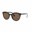 Prada PR 02XS 2AU8C1 53  Ladies  Sunglasses