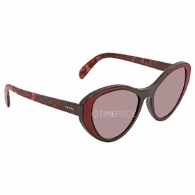 Prada PR 14US YEO6X1 55  Ladies  Sunglasses