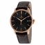 Rado R22861165 Coupole Classic Mens Automatic Watch