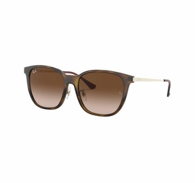 Ray Ban 0RB4333D 710/13 55  Unisex  Sunglasses