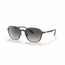 Ray Ban 0RB4341 601711 51  Unisex  Sunglasses