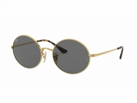 Ray Ban RB1970 9150B1 54    Sunglasses