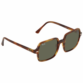 Ray Ban RB1973 954/31 53    Sunglasses