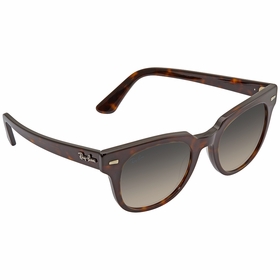 Ray Ban RB21689023250 Meteor Classic Unisex  Sunglasses