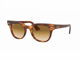 Ray Ban RB21689545150    Sunglasses