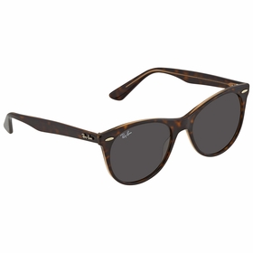 Ray Ban RB2185 1292B1 55 Wayfarer II Classics   Sunglasses