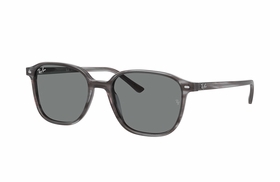 Ray Ban RB2193 1314B1 53 Leonard   Sunglasses