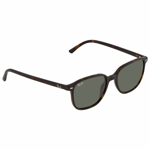 Ray Ban RB2193 902/31 53 Leonard   Sunglasses