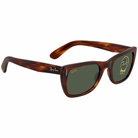 Ray Ban RB2248 954/31 52    Sunglasses