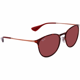Ray Ban RB3539 913375 54 Erika   Sunglasses