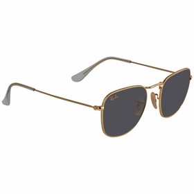 Ray Ban RB3857 9196R5 51  Unisex  Sunglasses