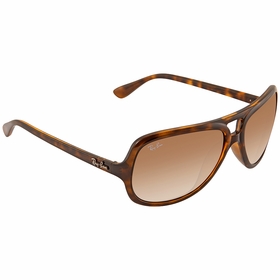 Ray Ban RB4162 71051 59 RB4162   Sunglasses